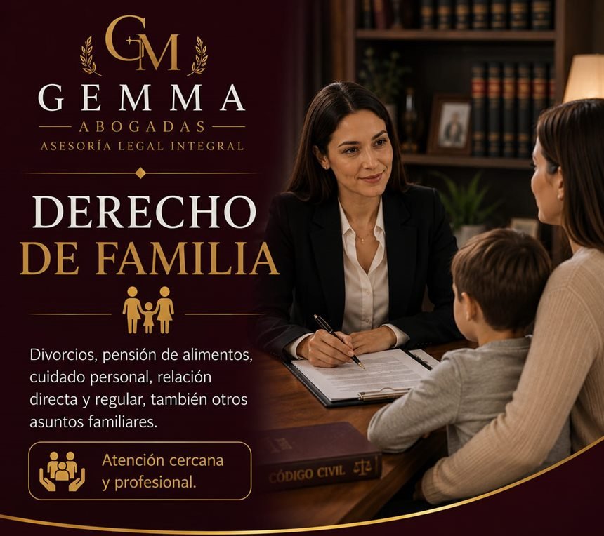 Derecho de Familia — divorcios, pensión de alimentos, cuidado personal, relación directa y regular y otros asuntos familiares.